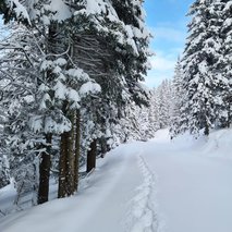 Ribniška koča - poročna lokacija, najem prostora za dogodke, catering hrane in pijače, pogostitev za dogodke ali zabave, wellness, team building dogodki, namestitev - 46