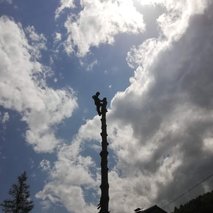 Profi Gozd, Matjaž Mahajnc s.p. - gozdarstvo, urejanje okolice - 2