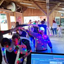 Franc Falnoga s.p. - glasbeni nastopi, ozvočenje in razsvetljava prireditev, polaganje vinila, polaganje ploščic, slikopleskarstvo, montaža knaufa, polaganje laminata - 4