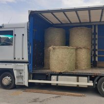 2M storitve d.o.o. - prevoz blaga - 8