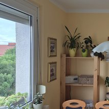 MOJSTER NENO, zaključna gradbena dela, Milena Jovanović s.p. - hišni servis in popravila, slikopleskarstvo - 13