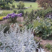 Terrapevt d.o.o. - polaganje tlakovcev, vrtnarske storitve, urejanje okolice - 5