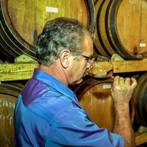 Peršolja Vina - dobava vina / vinarstvo - 3