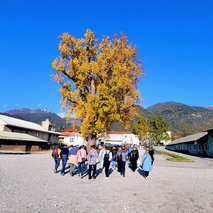 TURIZOM SONČNA STRAN, turizem, d.o.o. - oglaševalske storitve in marketing, prevoz potnikov, najem kombijev, namestitev, organizacija dogodkov - 5