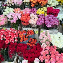 Prodaja cvetja B.D.R.-3 d.o.o. - cvetličarske storitve in dekoracija - 11