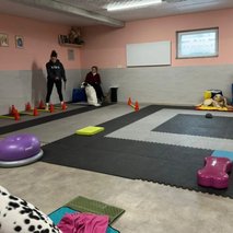 Naraven Pes - center za vzgojo, prevzgojo, varstvo in nego psov - pasja šola, pasji hotel, sprehajanje psov, pasji salon - 4