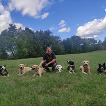 Aktivne Tačke, sprehajanje, vzgoja, čuvanje in oskrba psov, Gregor Đipalo s.p. - pasji hotel, pasja šola, pasji salon, sprehajanje psov - 9