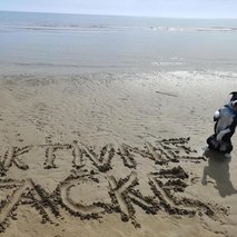 Aktivne Tačke, sprehajanje, vzgoja, čuvanje in oskrba psov, Gregor Đipalo s.p. - pasji hotel, pasja šola, pasji salon, sprehajanje psov - 1