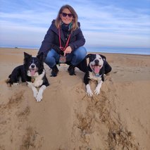 Aktivne Tačke, sprehajanje, vzgoja, čuvanje in oskrba psov, Gregor Đipalo s.p. - pasji hotel, pasja šola, pasji salon, sprehajanje psov - 2