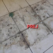 Aleksandar Mitić s.p. Čistilne usluge - čistilne storitve, urejanje okolice, pomoč na domu - 66