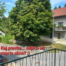 Aleksandar Mitić s.p. Čistilne usluge - čistilne storitve, urejanje okolice, pomoč na domu - 51