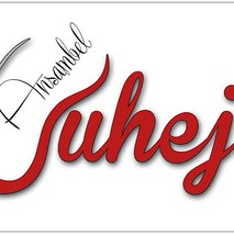 ansambel JUHEJ - glasbeni nastopi - 5