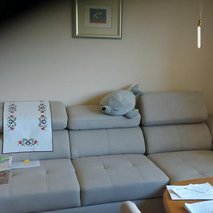 AREA čistilni servis, Edina Mujić s.p. - čistilne storitve - 7