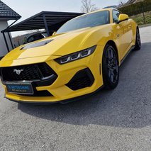Avto Detailing Grušovnik, Danijel Grušovnik s.p. - avtokozmetika, polepitev vozila - 12
