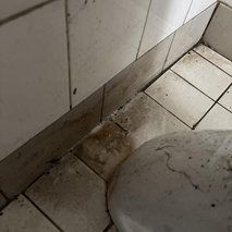 Briliant clean - čistilne storitve - 5