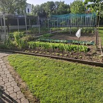 Čistilni servis Tanja - čistilne storitve, urejanje okolice - 5