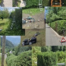 Deko, Urejanje Zelenih Površin In Okolice, Dejan Stojanov - vrtnarske storitve, urejanje okolice - 7