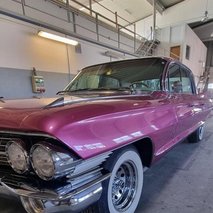 ELVIS LIVE - animacija na dogodkih, glasbeni nastopi, učenje jezika, organizacija dogodkov - 19