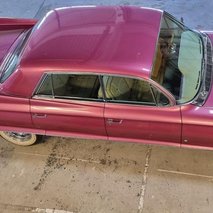 ELVIS LIVE - animacija na dogodkih, glasbeni nastopi, učenje jezika, organizacija dogodkov - 17