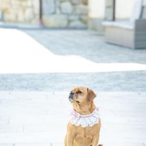 FOTO4YOU - fotografiranje - 20