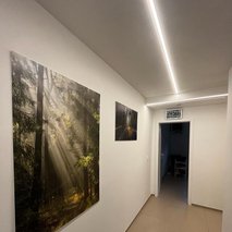 Frekvence za življenje d.o.o. - alternativne metode zdravljenja - 1