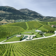 Vinska klet Zlati grič - najem prostora za dogodke, catering hrane in pijače, pogostitev za dogodke ali zabave, team building dogodki, poročna lokacija - 21