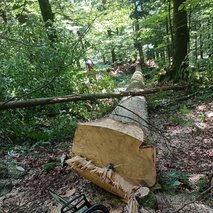Gozdarske in kmetijske storitve jože kermavnar sp - vrtnarske storitve - 1