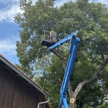 Gozdarstvo Dečar - gozdarstvo, razrez lesa, žaga, urejanje okolice - 1