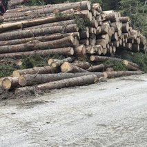 Gozdarstvo Dečar - gozdarstvo, razrez lesa, žaga, urejanje okolice - 4