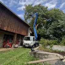 Gozdarstvo Dečar - gozdarstvo, razrez lesa, žaga, urejanje okolice - 2