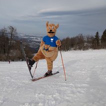 Gregor Košmerlj s.p. - animacija na dogodkih, team building dogodki, ozvočenje in razsvetljava prireditev, organizacija dogodkov - 16