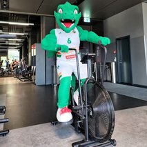 Gregor Košmerlj s.p. - animacija na dogodkih, team building dogodki, ozvočenje in razsvetljava prireditev, organizacija dogodkov - 21