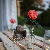 Preventivno - svetovalna dejavnost Pod milim nebom, Eva Župan s.p. - 5