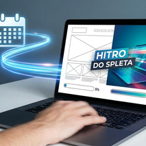 IN TIME, dostava in druge storitve, Dragana Stojiljković s.p. - 2