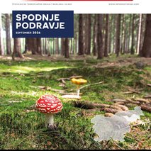Informator365 - oglaševalske storitve in marketing, pr / odnosi z javnostmi - 3