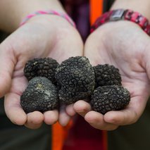 IstraTerra, agencija za posebna doživetja, d.o.o. – so.p. - 1