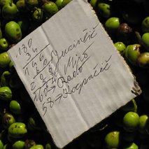 IstraTerra, agencija za posebna doživetja, d.o.o. – so.p. - 5