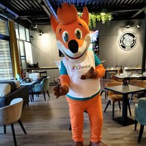 Gregor Košmerlj s.p. - animacija na dogodkih, team building dogodki, ozvočenje in razsvetljava prireditev, organizacija dogodkov - 24