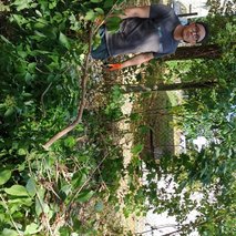 JE ČISTO Partner, vzdrževanje objektov, Miha Malenšek s.p. - odvoz materiala, čistilne storitve, urejanje okolice, hišni servis in popravila, visokotlačno čiščenje, električarske storitve, selitvene storitve - 9