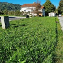 KOŠNJA PLUS, urejanje okolice, Anton Ladinek s.p - vrtnarske storitve, urejanje okolice - 4