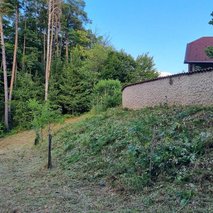 KOŠNJA PLUS, urejanje okolice, Anton Ladinek s.p - vrtnarske storitve, urejanje okolice - 9