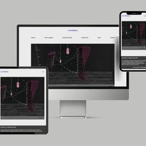 LAMA Strategies, digitalne storitve, Niko Volarić s.p. - razvoj in programiranje - 6