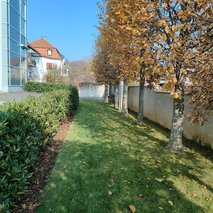 Lan In Lesk, Dominika Lesjak S.p., Čiščenje In Druge Storitve - čistilne storitve, odvoz materiala, steklarstvo, visokotlačno čiščenje - 11