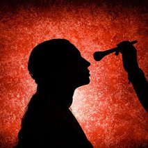 Maja Jamšek make-up & hair - makeup storitve (ličenje), frizerstvo - 4