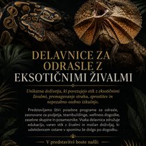 Marina Benkovič / ARTNVENOM - animacija na dogodkih, fotografiranje, sprehajanje psov, vrtnarske storitve, video produkcija, snemanje poroke, pasja šola, alternativne metode zdravljenja, grafično oblikovanje - 143