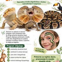 Marina Benkovič / ARTNVENOM - animacija na dogodkih, fotografiranje, sprehajanje psov, vrtnarske storitve, video produkcija, snemanje poroke, pasja šola, alternativne metode zdravljenja, grafično oblikovanje - 140