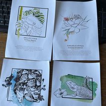 Marina Benkovič / ARTNVENOM - animacija na dogodkih, fotografiranje, sprehajanje psov, vrtnarske storitve, video produkcija, snemanje poroke, pasja šola, alternativne metode zdravljenja, grafično oblikovanje - 76
