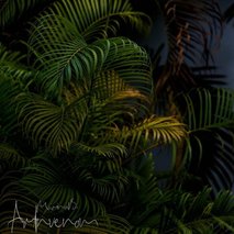 Marina Benkovič / ARTNVENOM - animacija na dogodkih, fotografiranje, sprehajanje psov, vrtnarske storitve, video produkcija, snemanje poroke, pasja šola, alternativne metode zdravljenja, grafično oblikovanje - 36