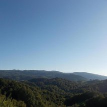 Merica Kučič - sobodajalka - namestitev - 12