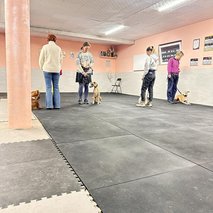 Naraven Pes - center za vzgojo, prevzgojo, varstvo in nego psov - pasji hotel, pasja šola, sprehajanje psov, pasji salon - 1